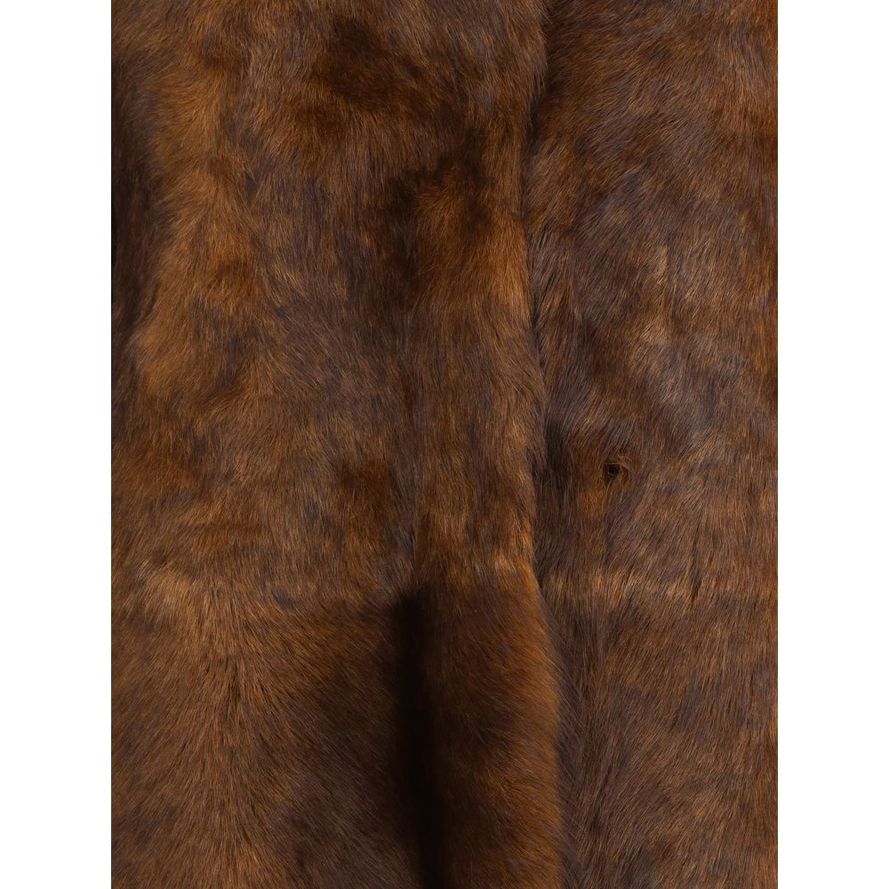 Brown Lamb Ovis Aries Aries Coat