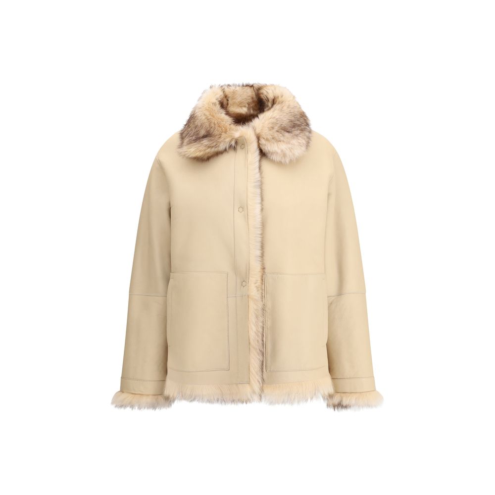 Cream Lamb Ovis Aries Aries Coat
