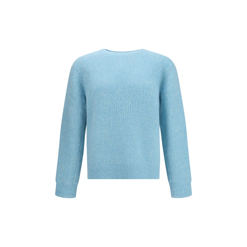 Light Blue Alpaca Vicugna Pacos Sweatshirt