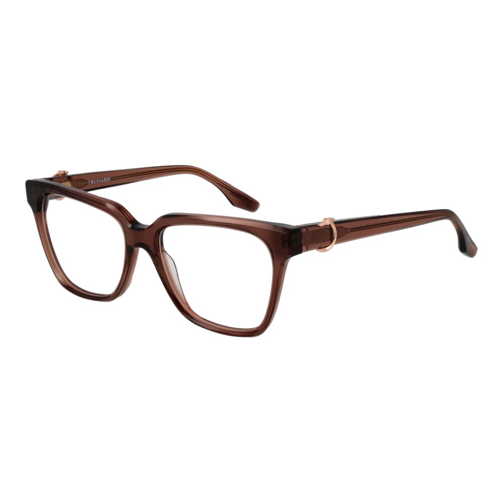 Brown Acetate Glasses (Frames)