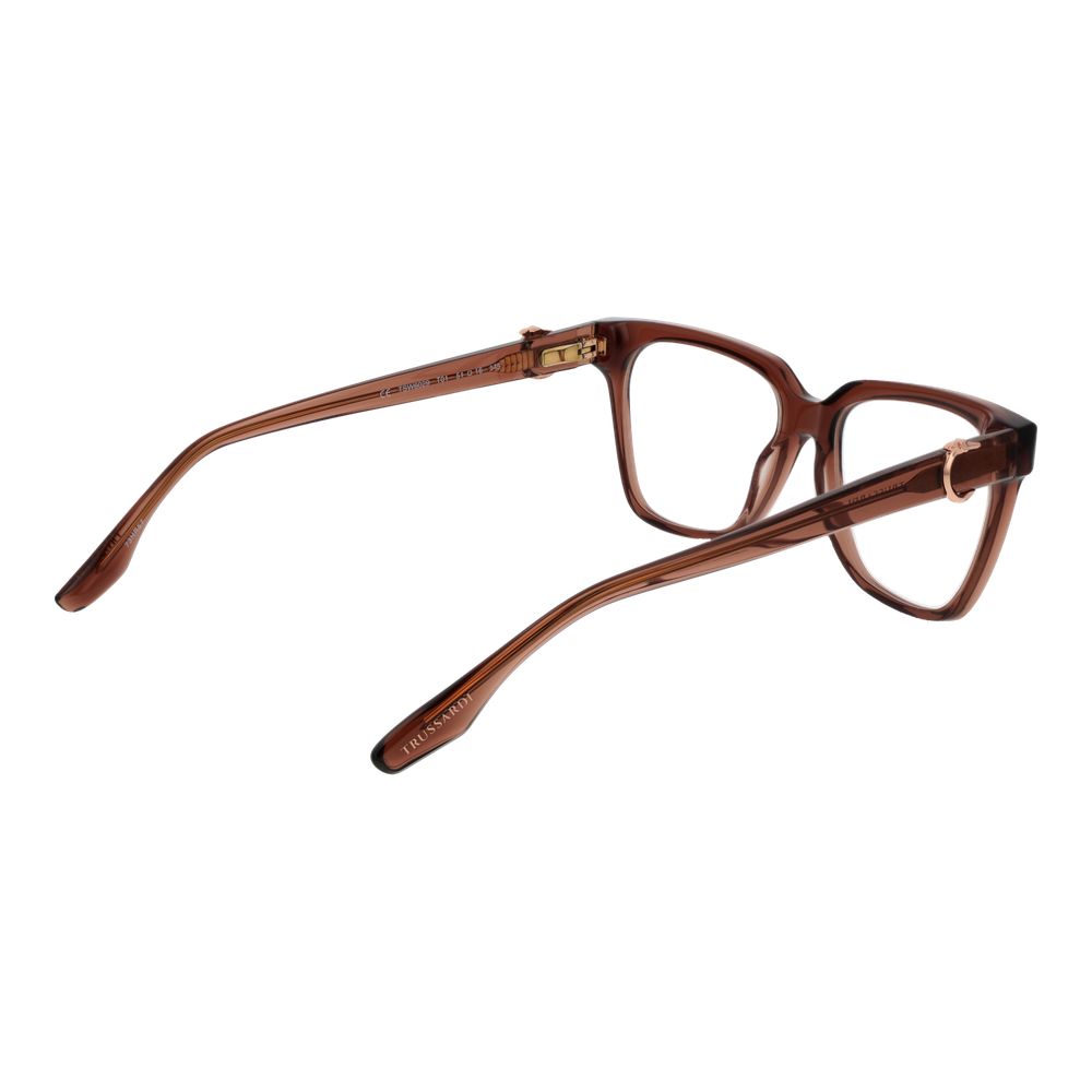Brown Acetate Glasses (Frames)