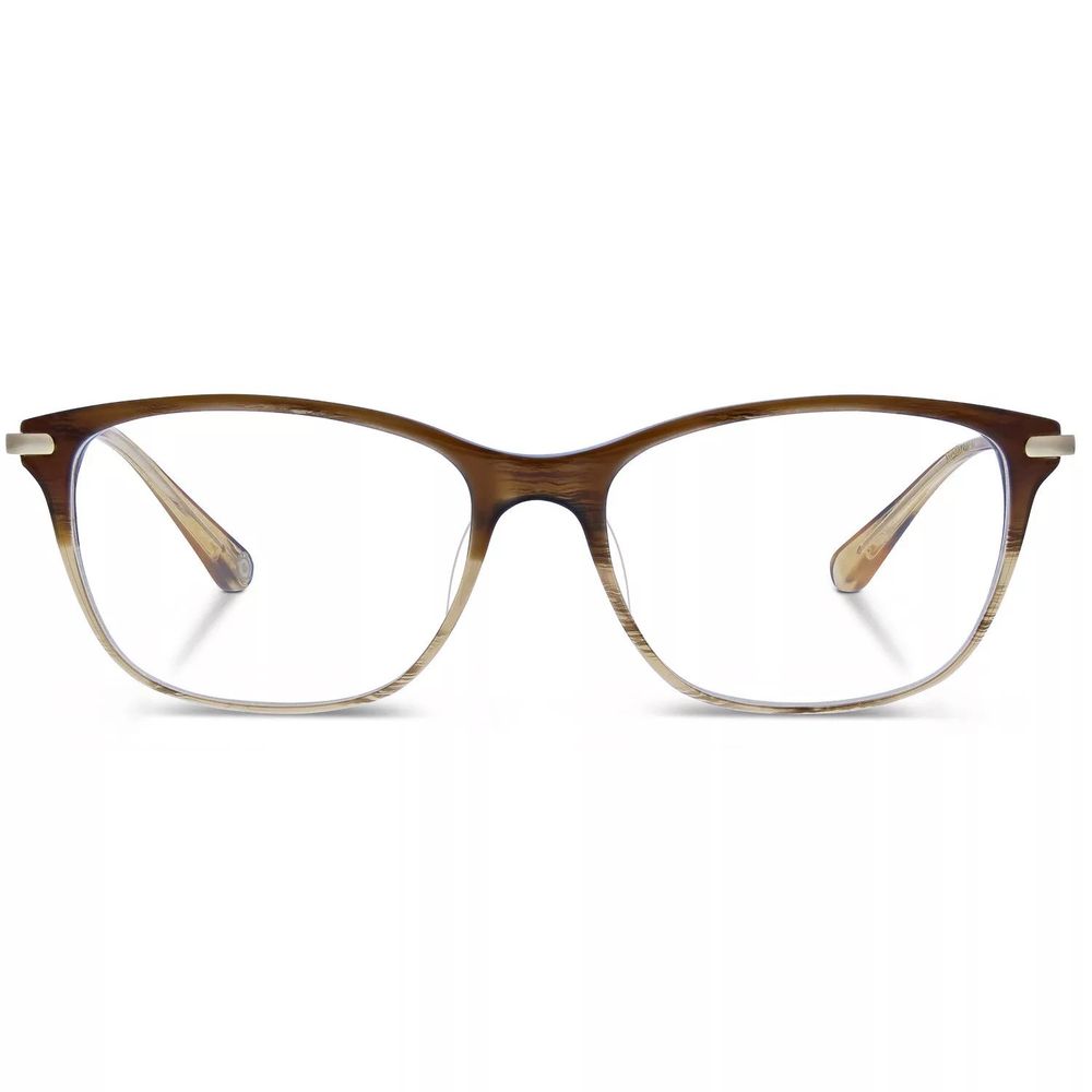 Brown Titanium Glasses (Frames)