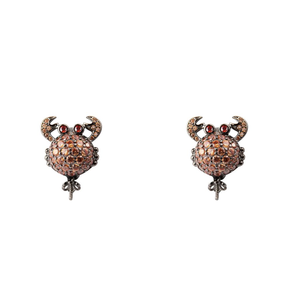 Bicolor Silver Earrings