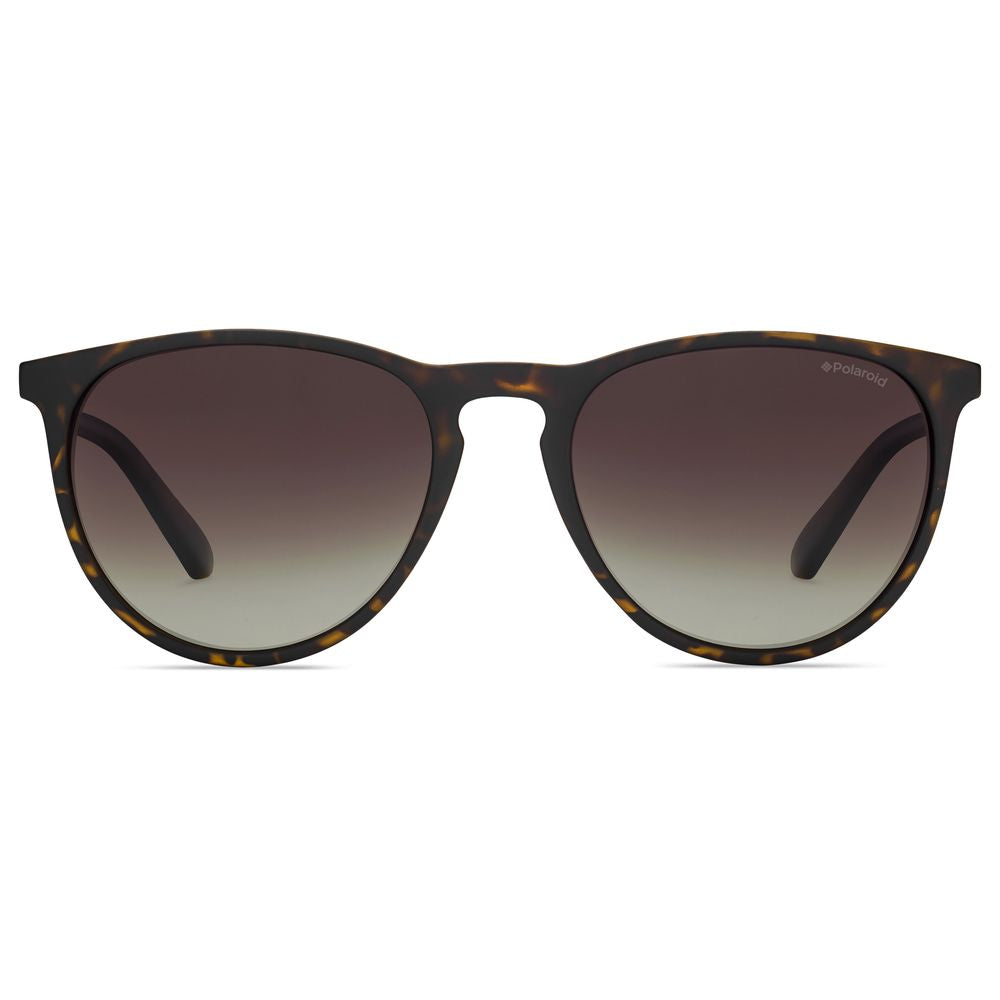 Brown Plastic Sunglasses