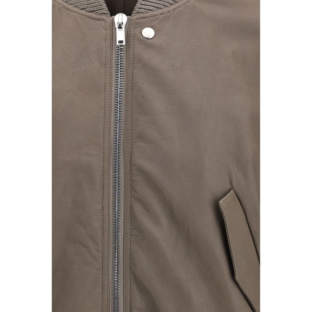 Gray Lamb Ovis Aries Aries Bomber