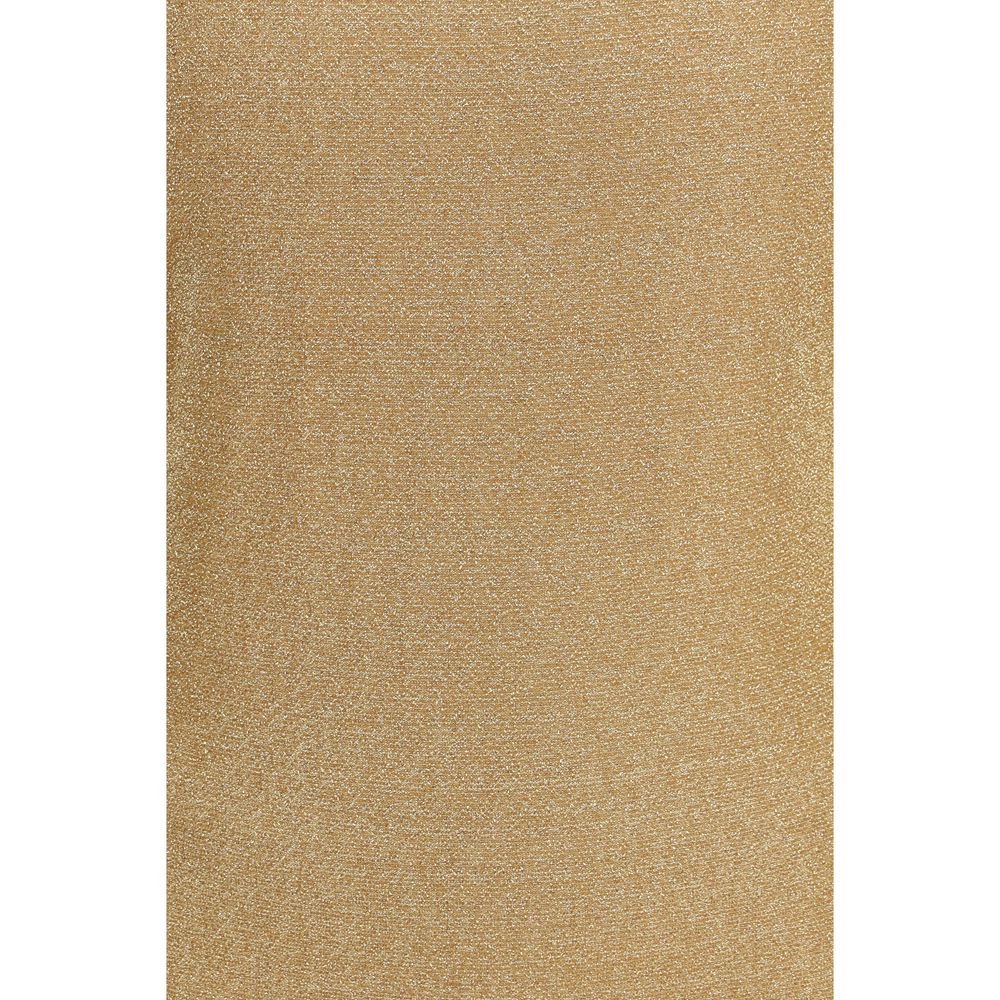 Gold Metal One-Piece Swimsuit