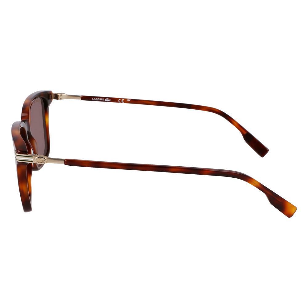 Brown Acetate Sunglasses