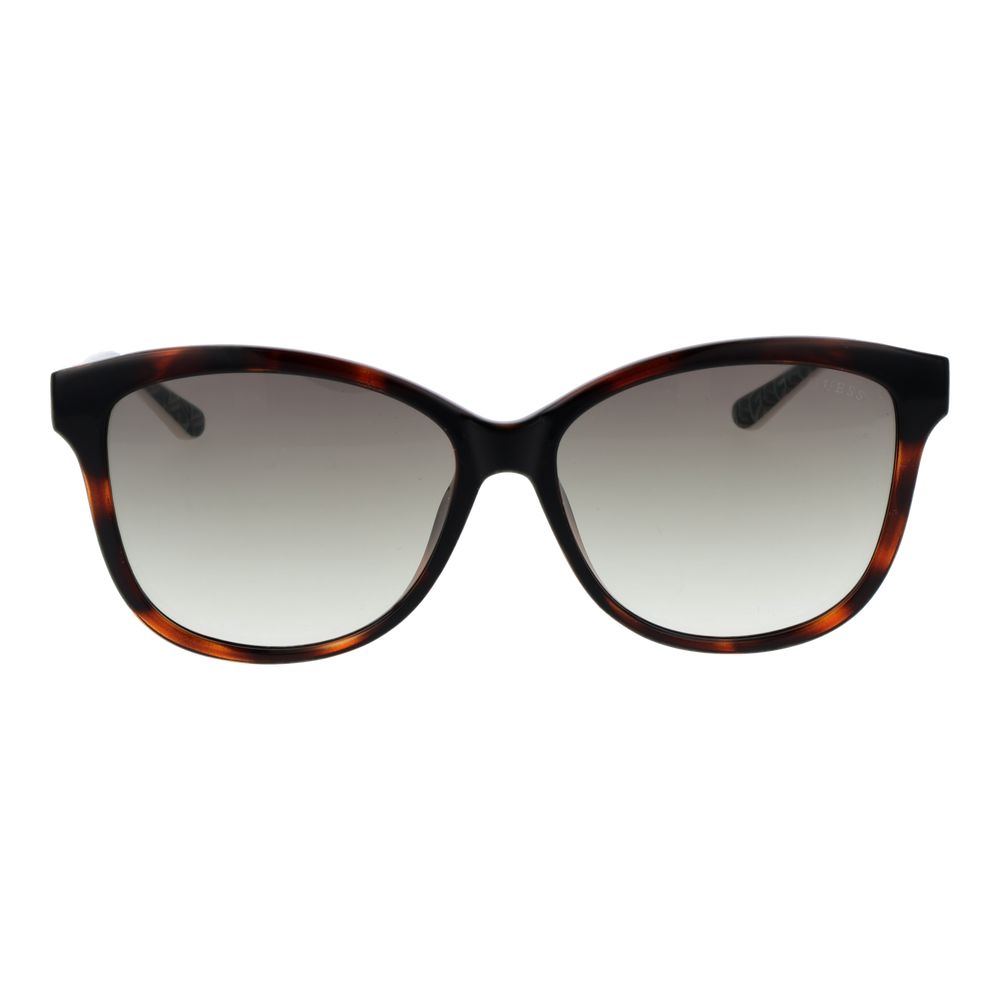 Brown Plastic Sunglasses