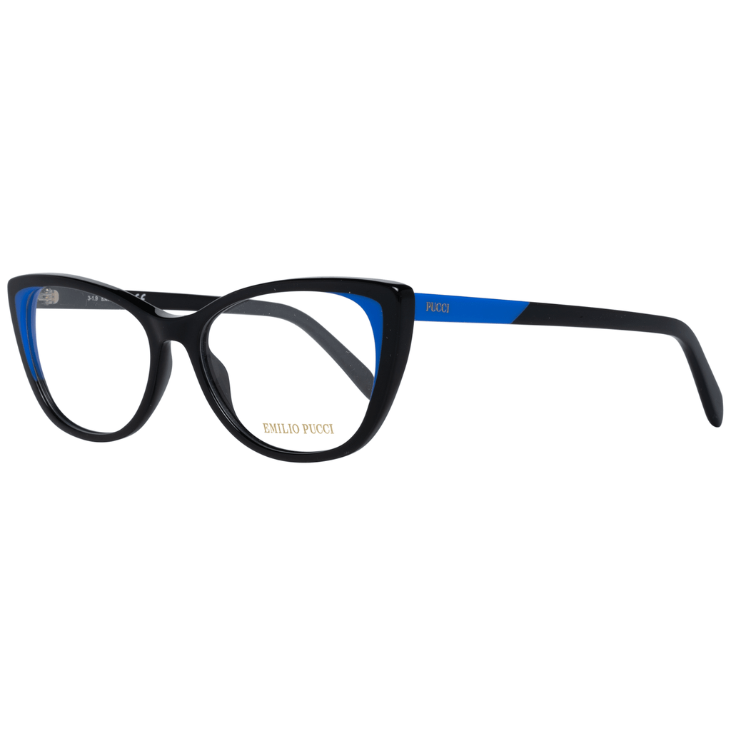 Black Plastic Glasses (Frames)