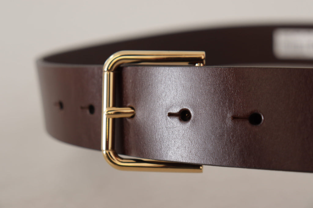 Brown Plain Calf Leather Gold Tone Buckle Belt
