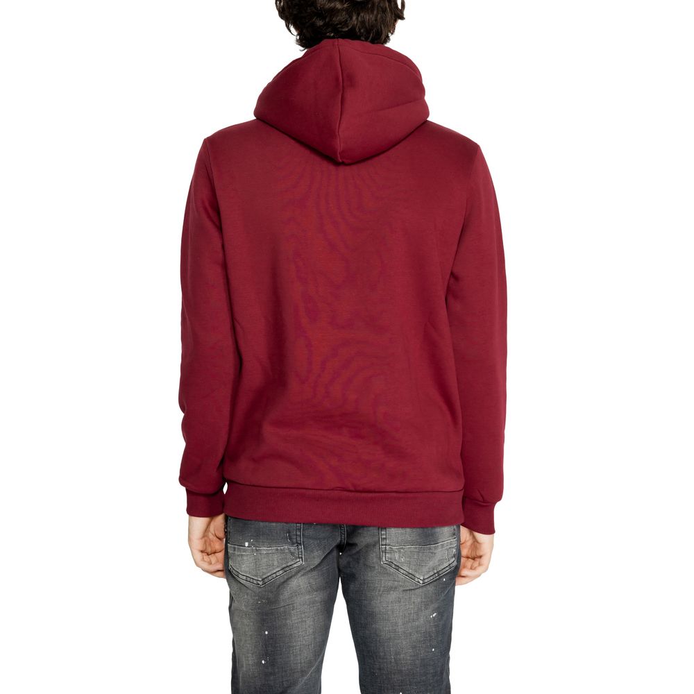 Bordeaux Cotton Hoodie