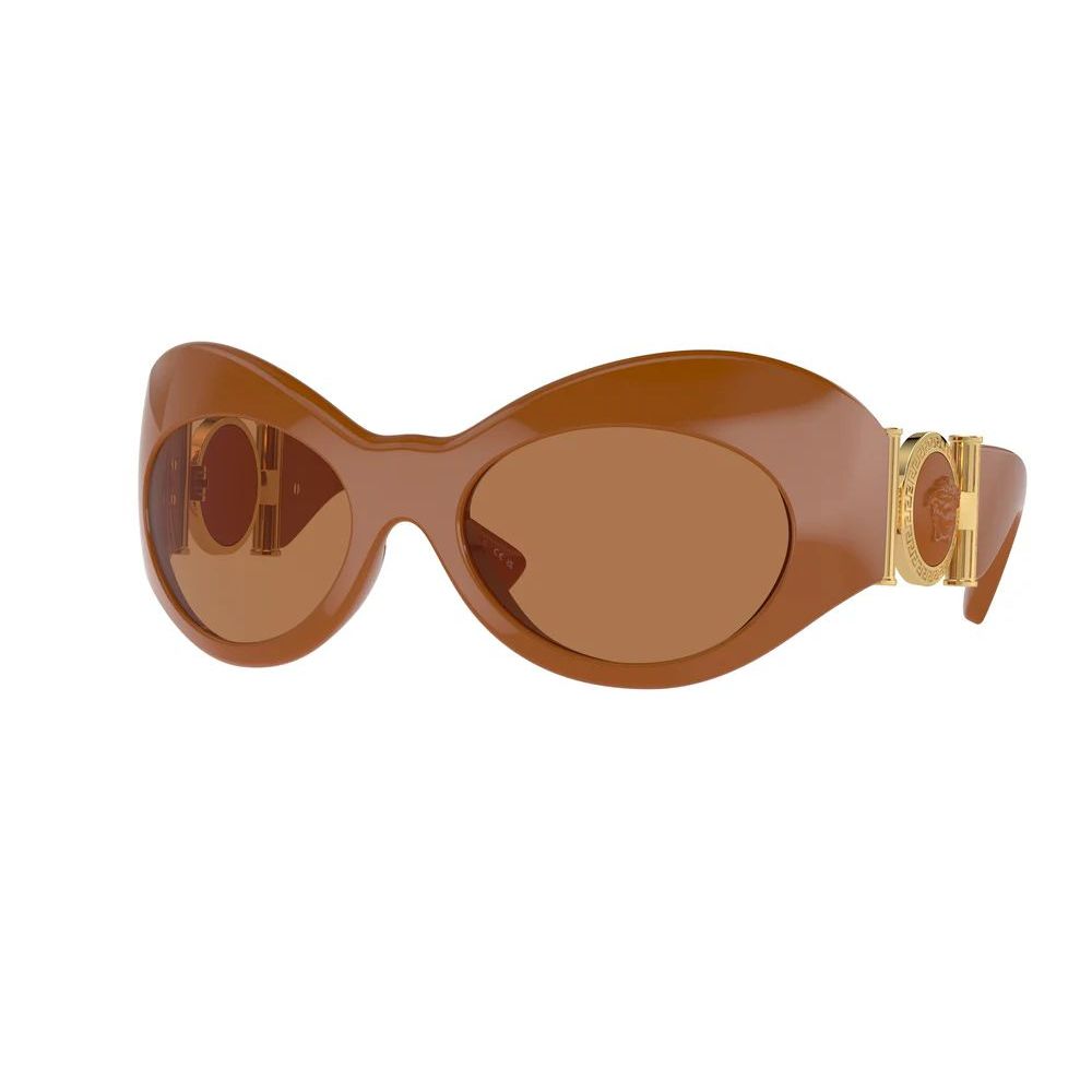 Brown Acetate Sunglasses