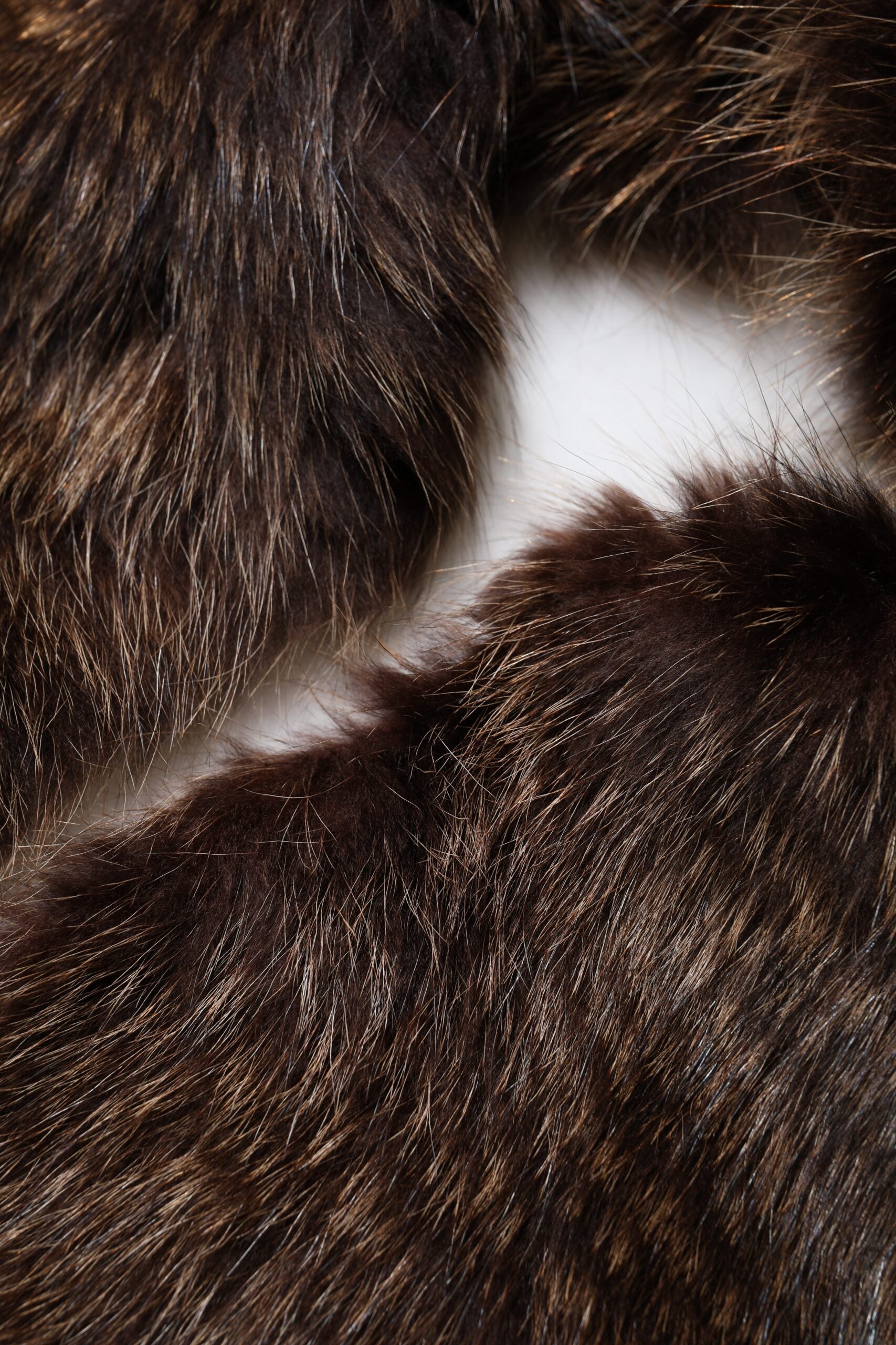 Brown Raccoon Fur Neck Warmer Winter Scarf