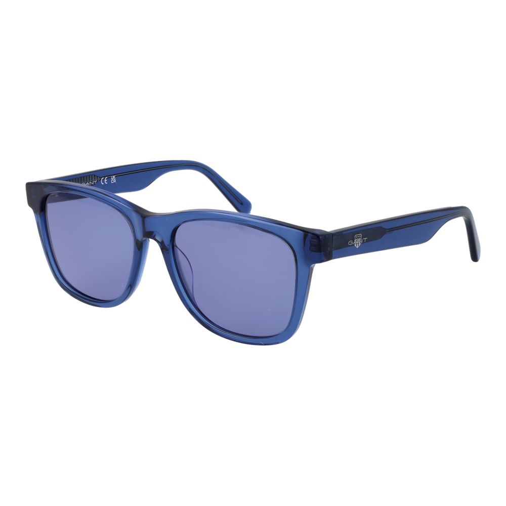 Blue Acetate Sunglasses