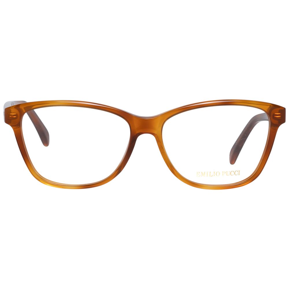 Brown Plastic Glasses (Frames)