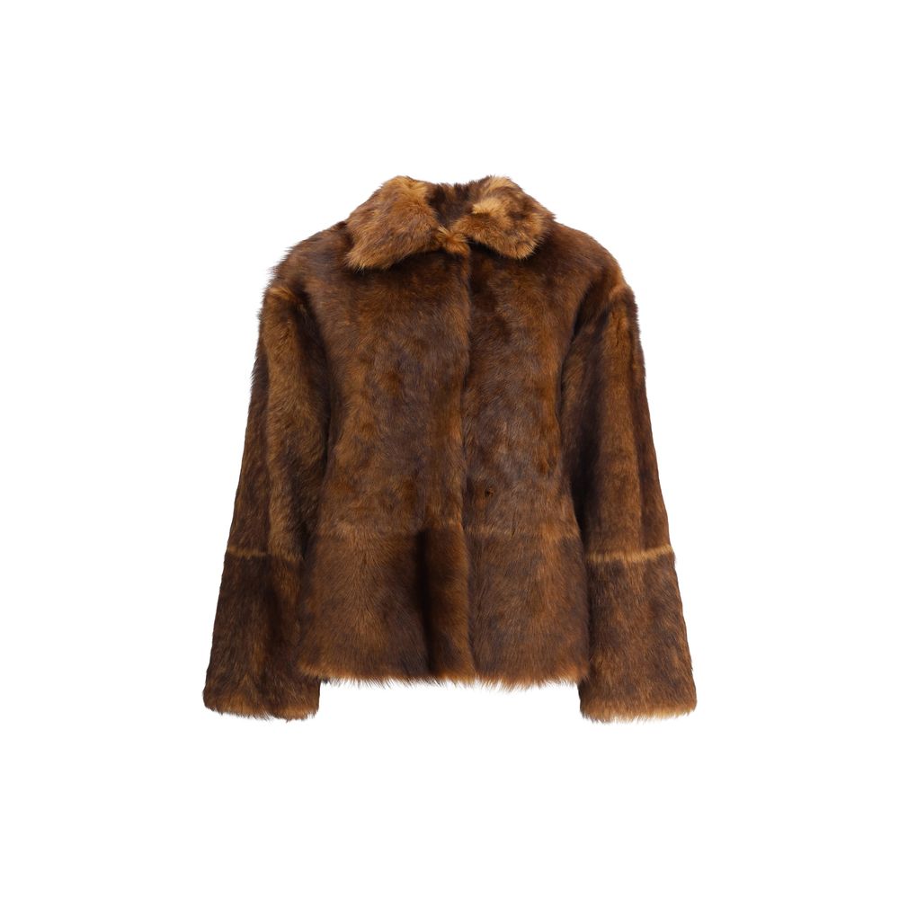 Brown Lamb Ovis Aries Aries Coat