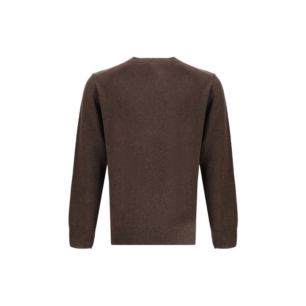 Brown Alpaca Vicugna Pacos Sweatshirt