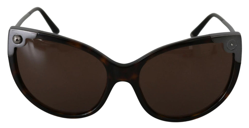 DG4337 Dark Havana Cat Eye Women Eyewear Sunglasses