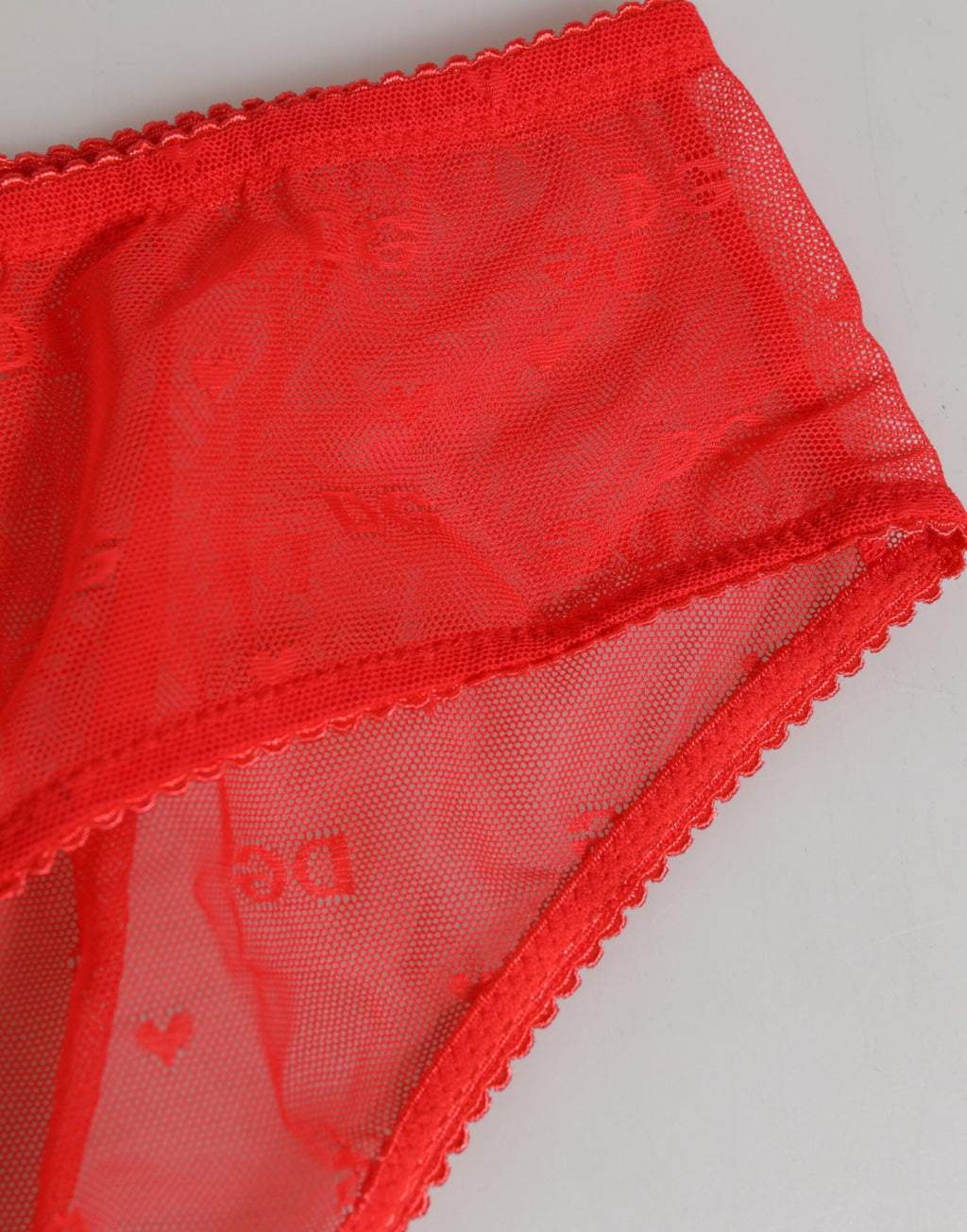 Red Nylon Sheer Mesh Lace Brief Panty Underwear