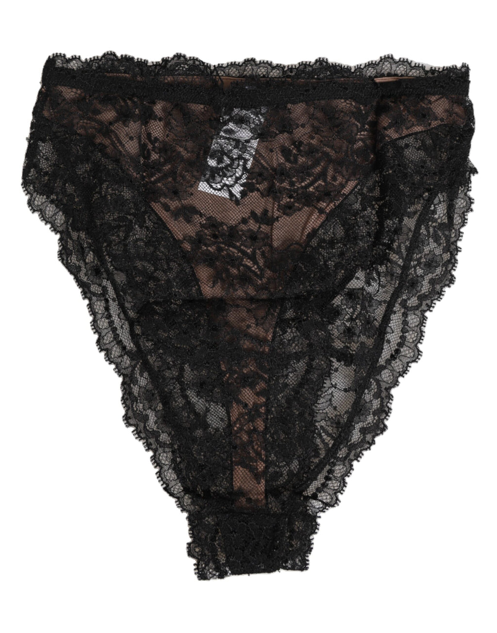 Black Floral Lace Mesh High Brief Panty  Underwear