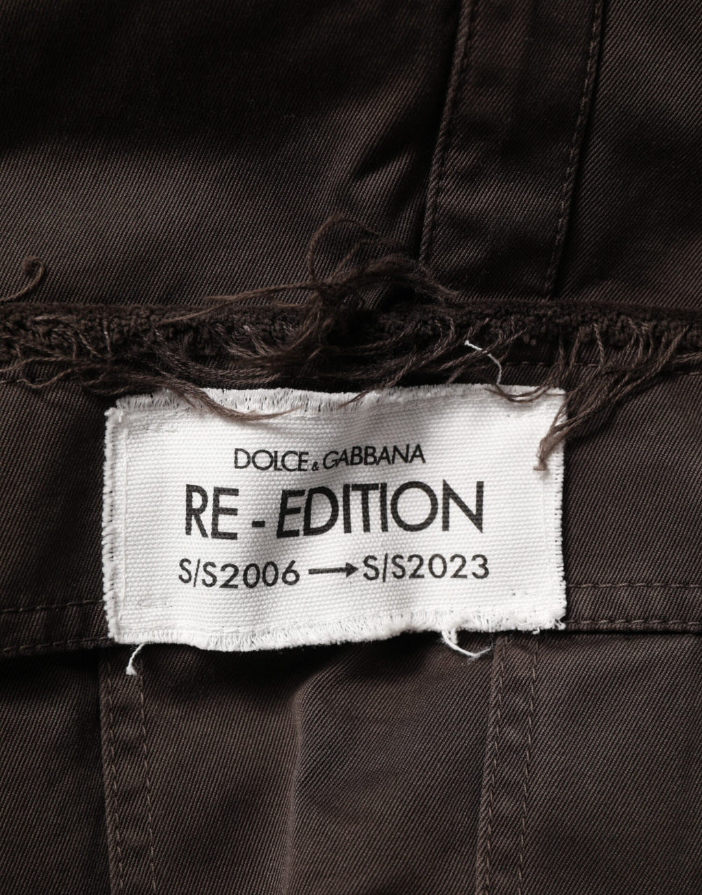 Brown Re- Edition Cotton Men Cargo Pants