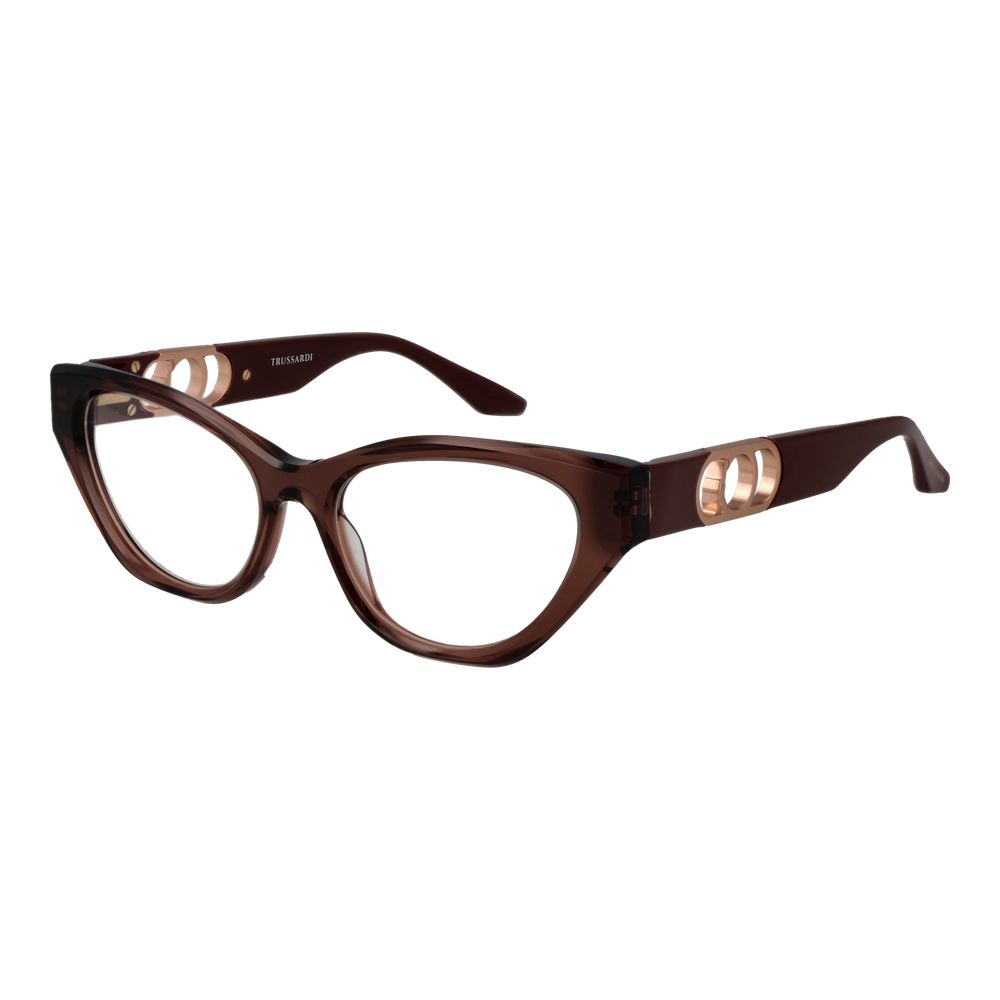 Brown Acetate Glasses (Frames)